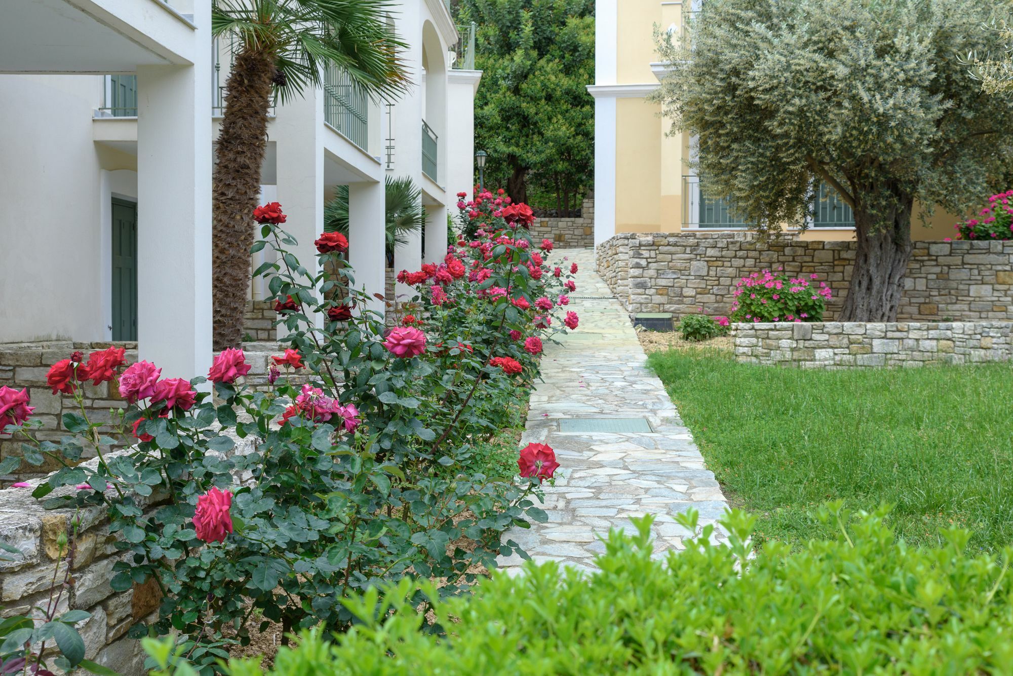 Kyveli Hotel Apartments Vrontados Экстерьер фото